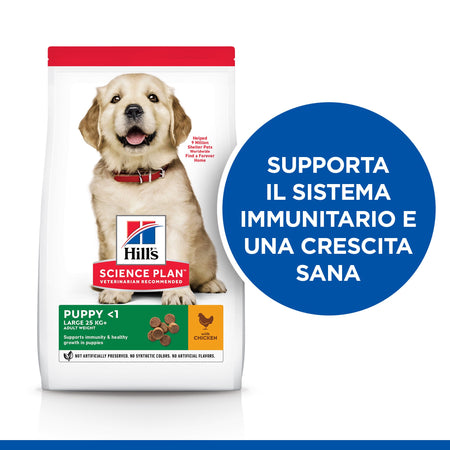 Hill's Mantenimento secco Cani Puppy Large pollo 12 kg