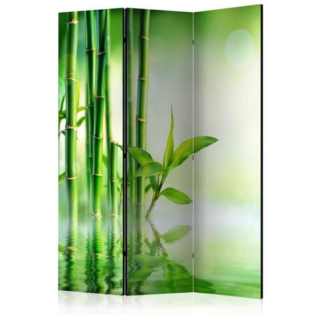 Paravento Green Bamboo [divisori da interno]