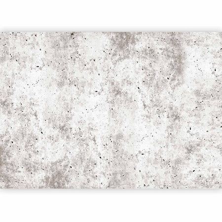 Fotomurale Urban Style: Concrete