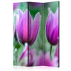 Paravento Purple spring tulips [divisori da interno]