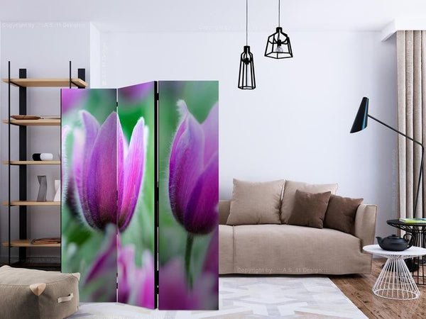 Paravento Purple spring tulips [divisori da interno]