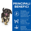 Hill's Perfect Digestion secco Cani Puppy Medium pollo