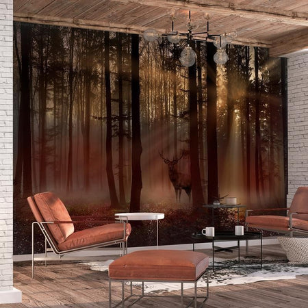 Fotomurale Mystical Forest First Variant