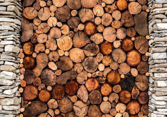 Fotomurale Wooden Gate