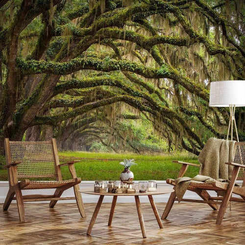 Fotomurale Tree embrace