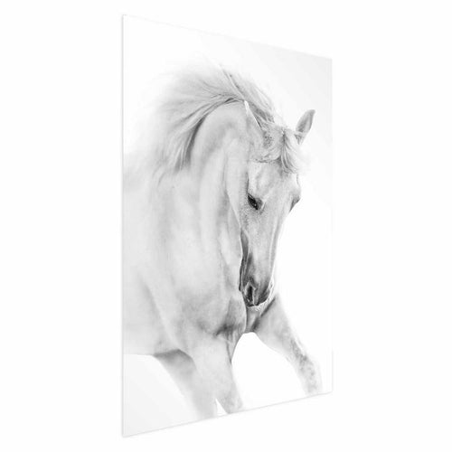 Poster - White Horse