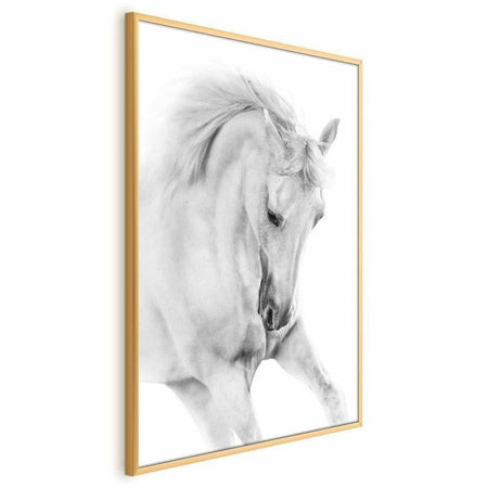 Poster - White Horse
