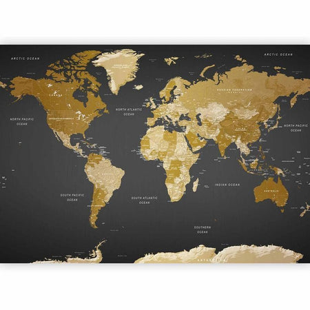 Fotomurale adesivo World Map: Modern Geography