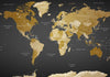 Fotomurale adesivo World Map: Modern Geography