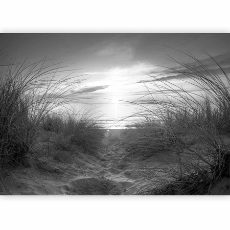 Fotomurale beach (black and white)