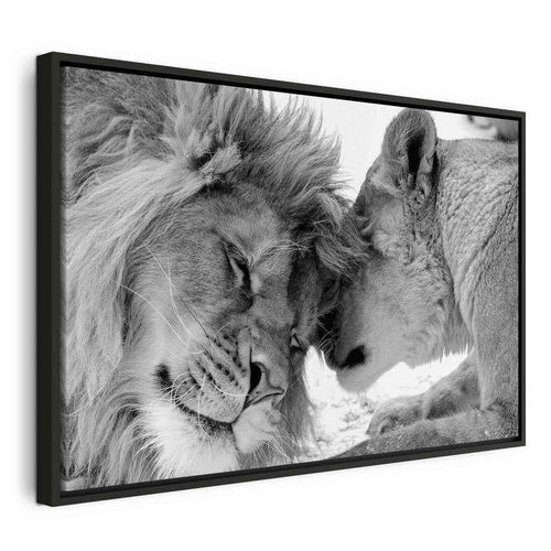 Quadro Lion's Love
