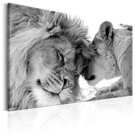 Quadro Lion's Love