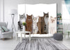 Paravento Sweet Cats II [divisori da interno]