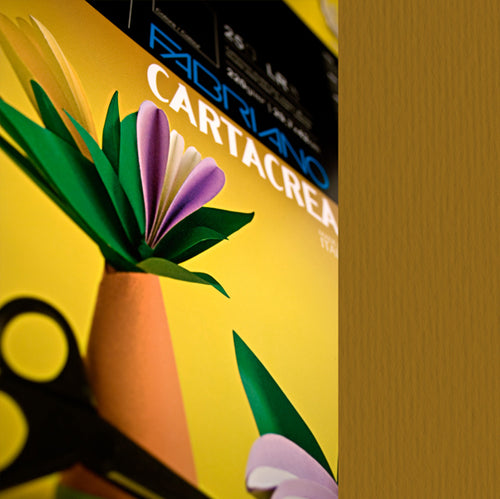 Blister 10Fg Cartoncino 35X50Cm 220Gr Marrone Cartacrea Fabriano