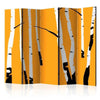 Paravento Birches on the orange background II [divisori da interno]
