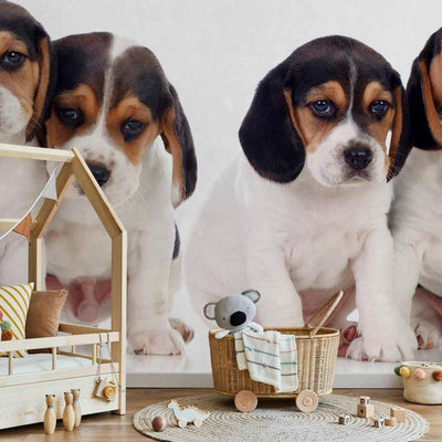 Carta da Parati Sad Puppies Cani