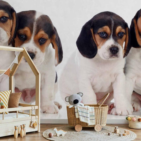 Carta da Parati Sad Puppies Cani