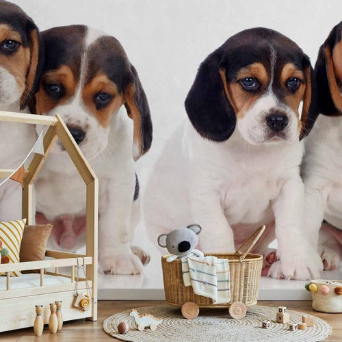 Carta da Parati Sad Puppies Cani