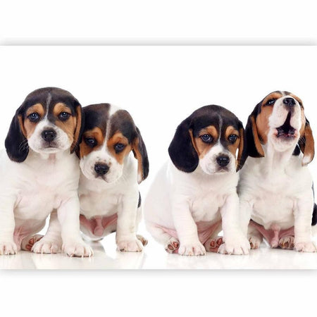 Carta da Parati Sad Puppies Cani