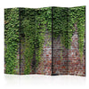 Paravento Brick and ivy II [Room Dividers]