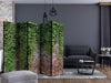Paravento Brick and ivy II [Room Dividers]