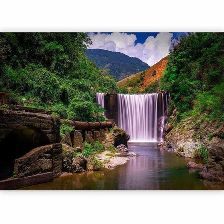 Fotomurale Reggae Falls