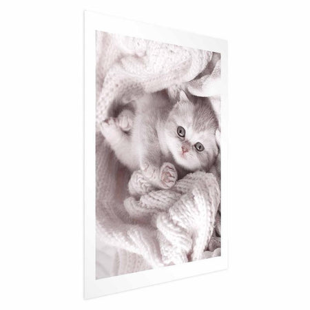 Poster - Lover of Rest