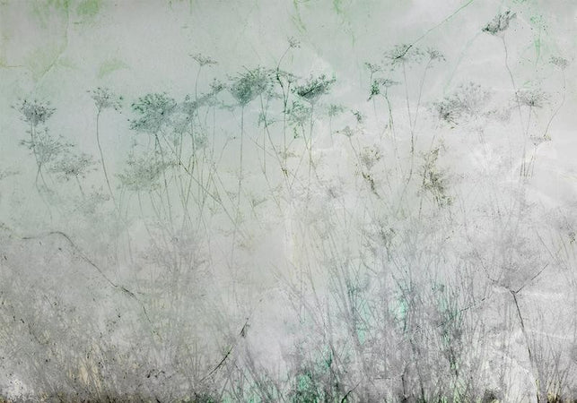 Fotomurale Indian Summer First Variant