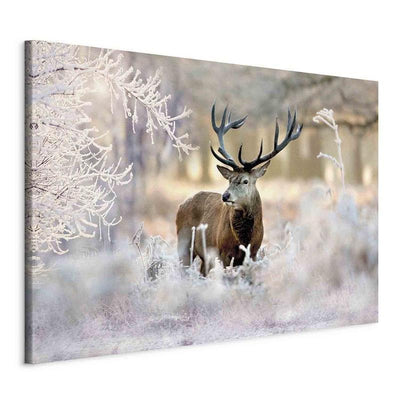 Quadro Deer in the Cold