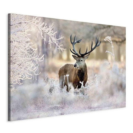 Quadro Deer in the Cold