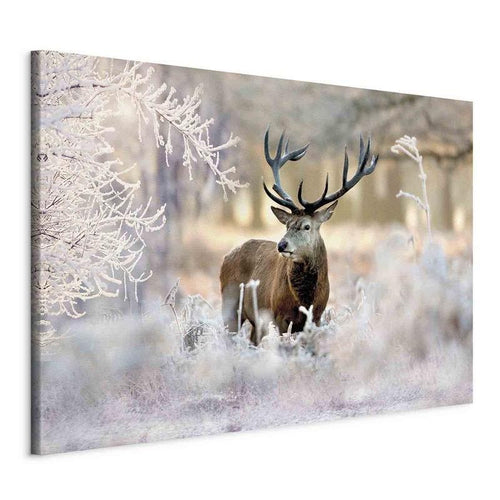 Quadro Deer in the Cold