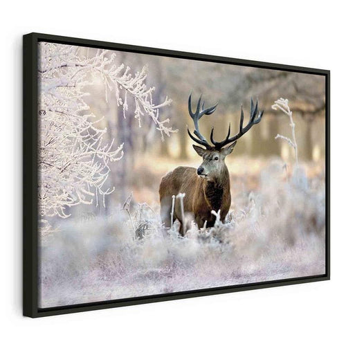 Quadro Deer in the Cold