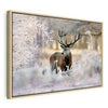 Quadro Deer in the Cold