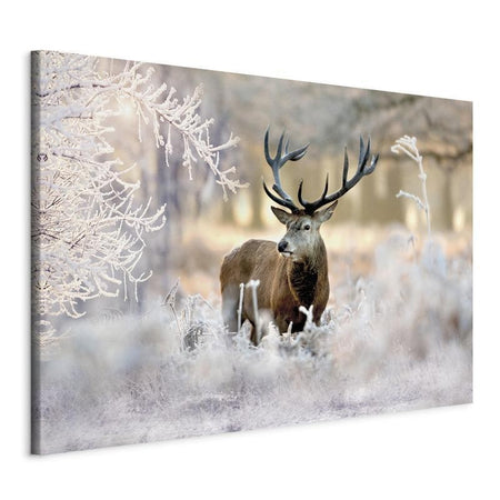 Quadro Deer in the Cold