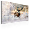 Quadro Deer in the Cold