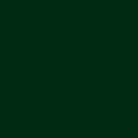 Brilltix 750ml smalto lucido base solvente colore verde vittoria diretto su ruggine