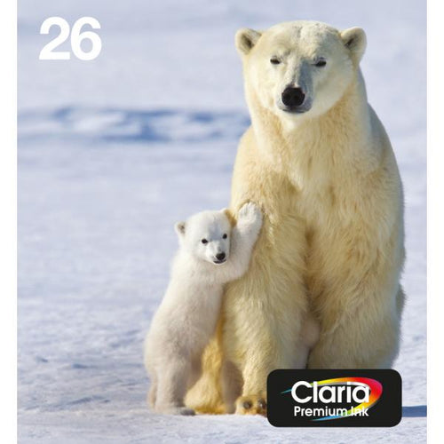 Epson Polar bear Multipack 4-colours 26 EasyMail (EPSON 26 POLAR BEAR MULTIPACK EASYMAIL)