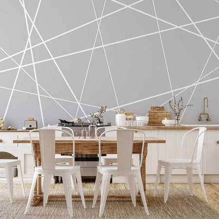 Fotomurale Modern Cobweb