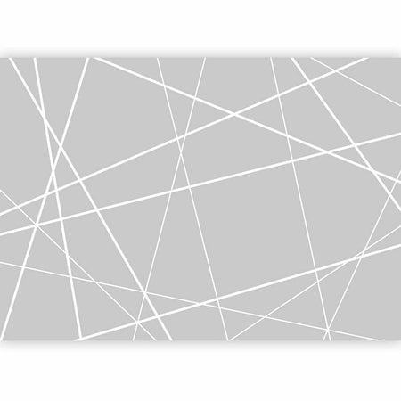 Fotomurale Modern Cobweb