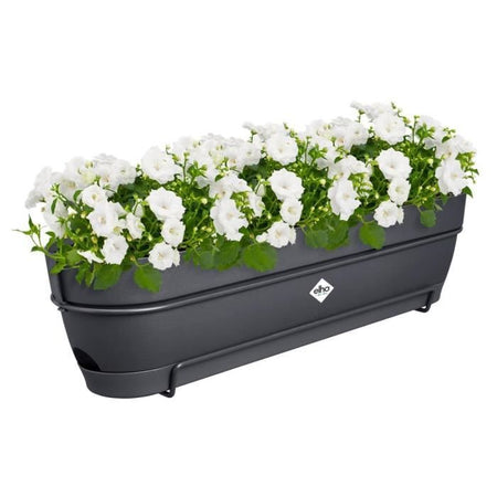 ELHO Vibia Campana Allin1 Balcone Rettangolare - 70 - Plastica - 11 l - Antracite