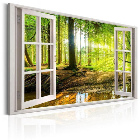 Quadro Window View on Forest