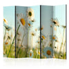 Paravento Daisies spring meadow II [divisori da interno]