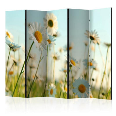 Paravento Daisies spring meadow II [divisori da interno]