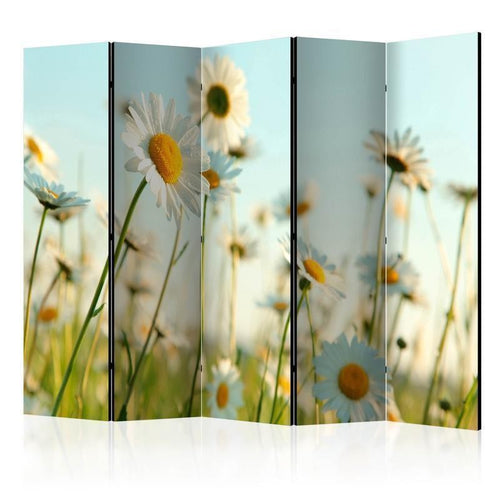 Paravento Daisies spring meadow II [divisori da interno]