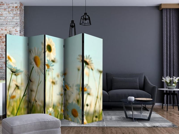 Paravento Daisies spring meadow II [divisori da interno]