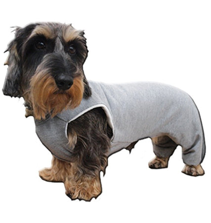 Body Tuta Zampe Posteriori Cura Pet