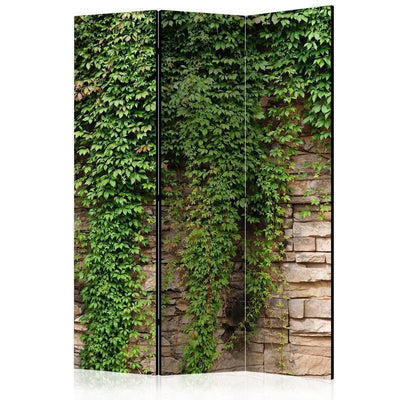 Paravento Ivy wall [Room Dividers]