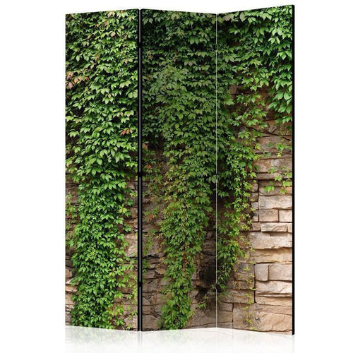 Paravento Ivy wall [Room Dividers]