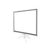 Schermo light su treppiedi 150x150cm - INSTRI1503