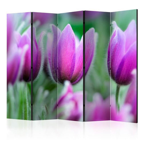 Paravento Purple spring tulips II [divisori da interno]